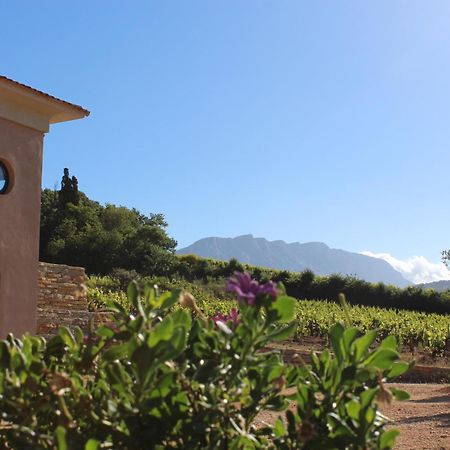La Bastide - Le Grenache - Le Syrah Au Domaine Chateau Henri Bonnaud Le Tholonet Extérieur photo