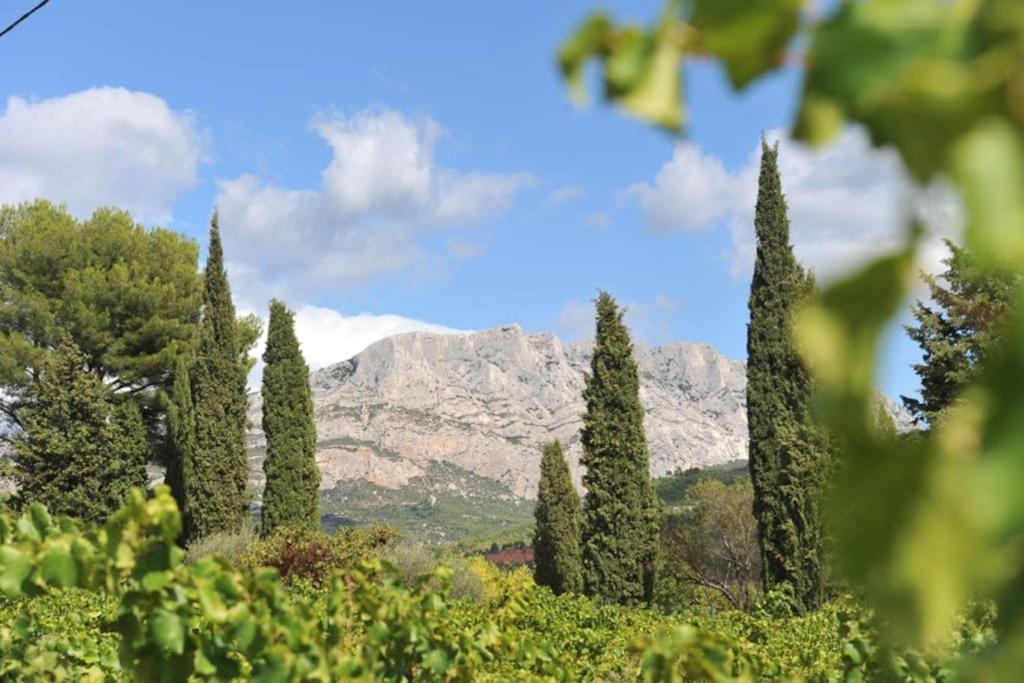 La Bastide - Le Grenache - Le Syrah Au Domaine Chateau Henri Bonnaud Le Tholonet Extérieur photo