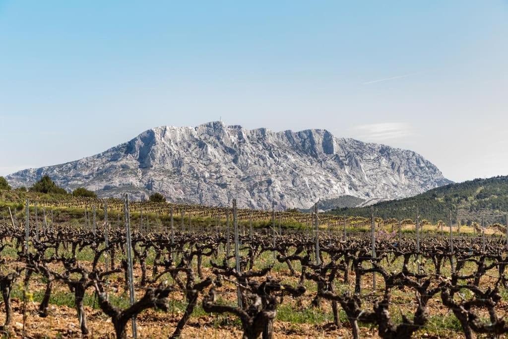 La Bastide - Le Grenache - Le Syrah Au Domaine Chateau Henri Bonnaud Le Tholonet Extérieur photo