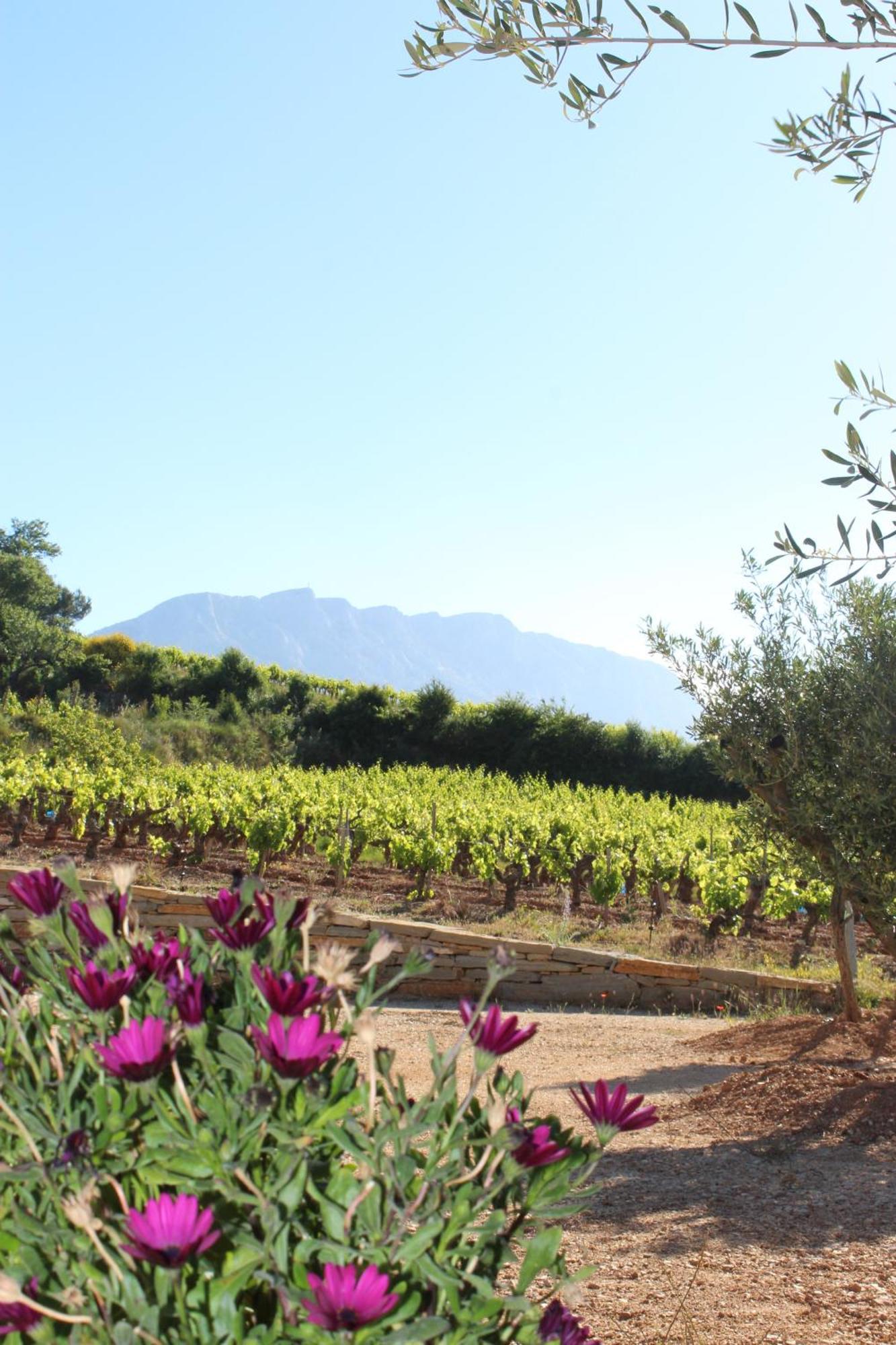La Bastide - Le Grenache - Le Syrah Au Domaine Chateau Henri Bonnaud Le Tholonet Extérieur photo