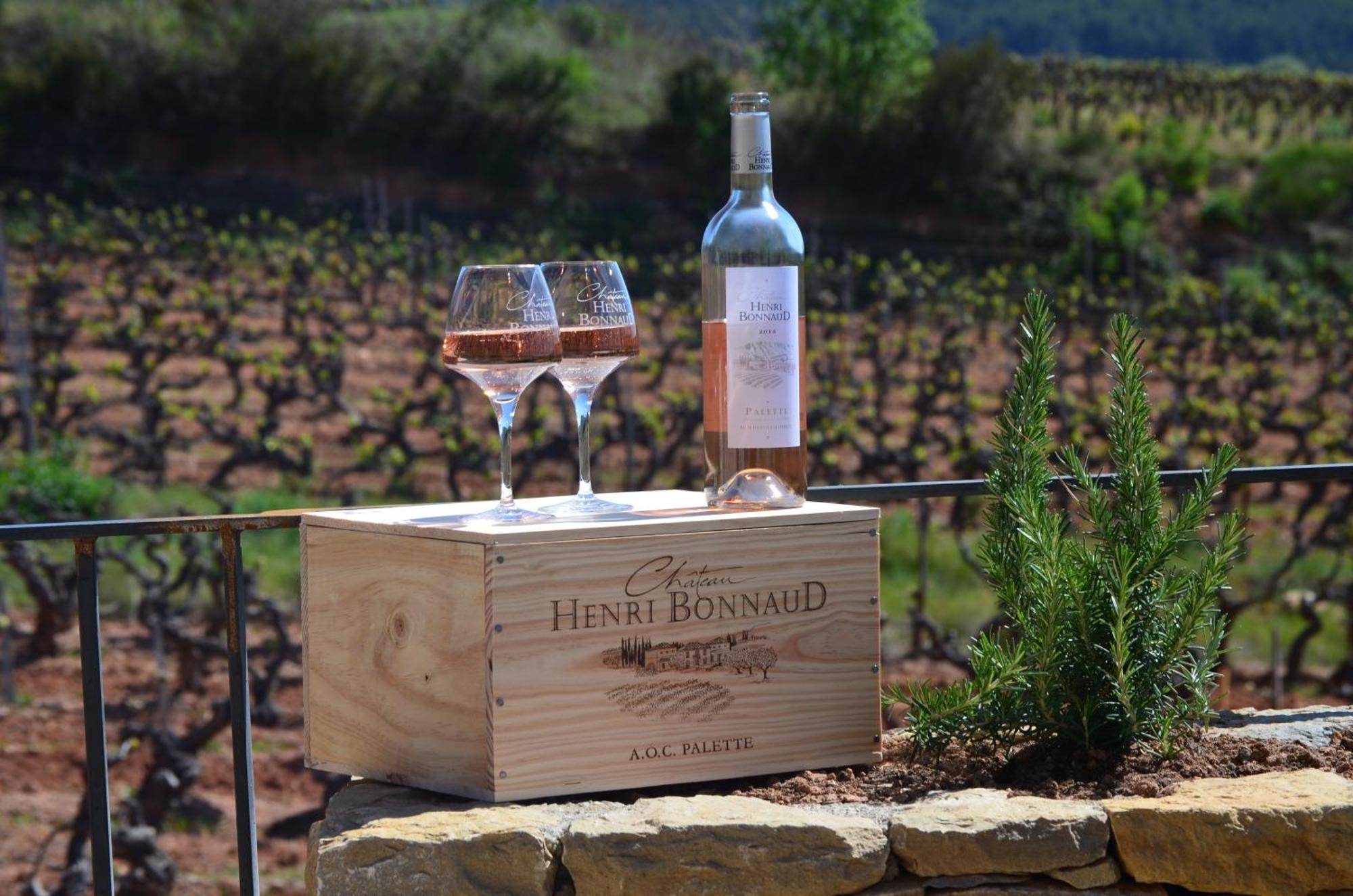 La Bastide - Le Grenache - Le Syrah Au Domaine Chateau Henri Bonnaud Le Tholonet Extérieur photo