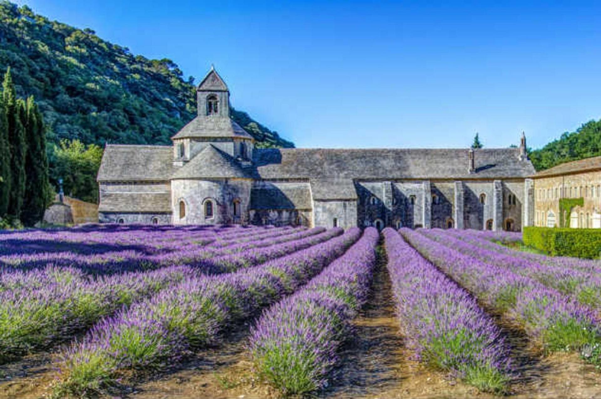 La Bastide - Le Grenache - Le Syrah Au Domaine Chateau Henri Bonnaud Le Tholonet Extérieur photo